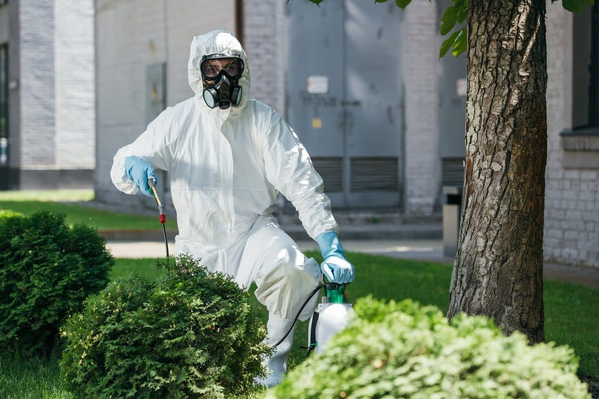 Agent de contrôle des nuisibles en uniforme, retirant un nid de frelon